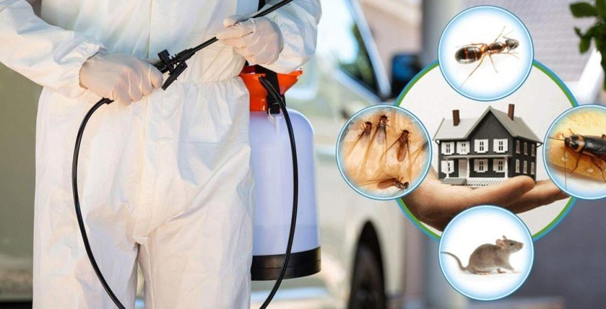 Derebucak Böcek İlaçlama