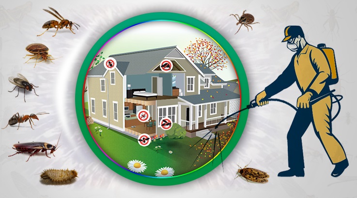 Derebucak Böcek İlaçlama