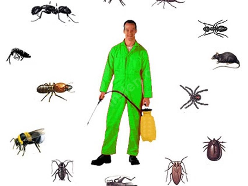 Derebucak Böcek İlaçlama